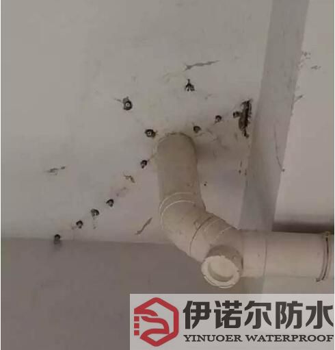 蘇州蘇州防水工程的基本內(nèi)容是什么？